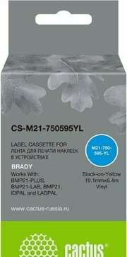 CACTUS CS-M21-750595YL фото